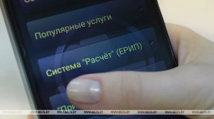 В МНС напомнили об уплате единого имущественного платежа до 16 ноября