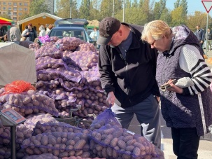 Ограничение движения в связи с проведением осенних ярмарок в Бресте