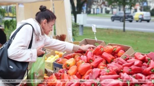 Огородные гиганты, огромный фуд-корт и богатая ярмарка. Брест 3 октября приглашает на осенний фестиваль