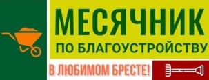 В Бресте проводится месячник по благоустройству. Вот что сделано