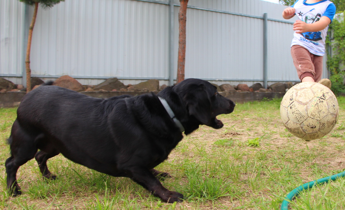 Не болею. Не больной