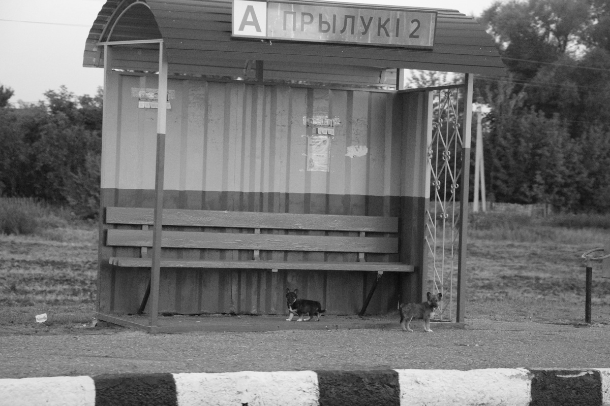 Пусть им тоже повезет