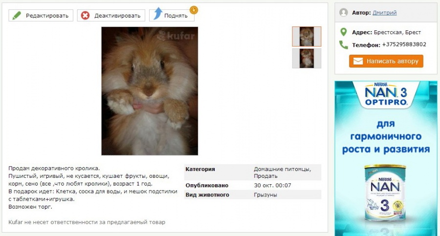 Как кролик не в руки добрые попал, а на Kufar.by