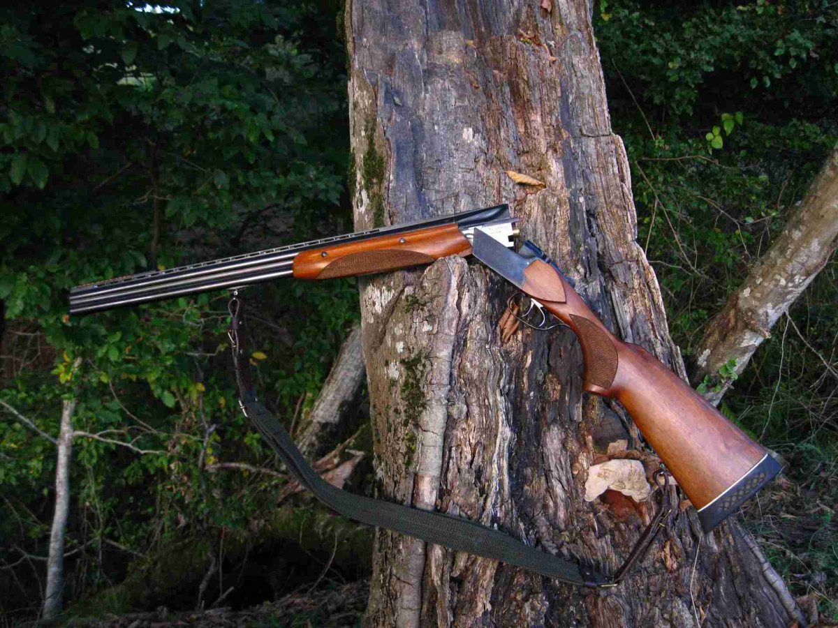 Как у меня ружьё забирали
