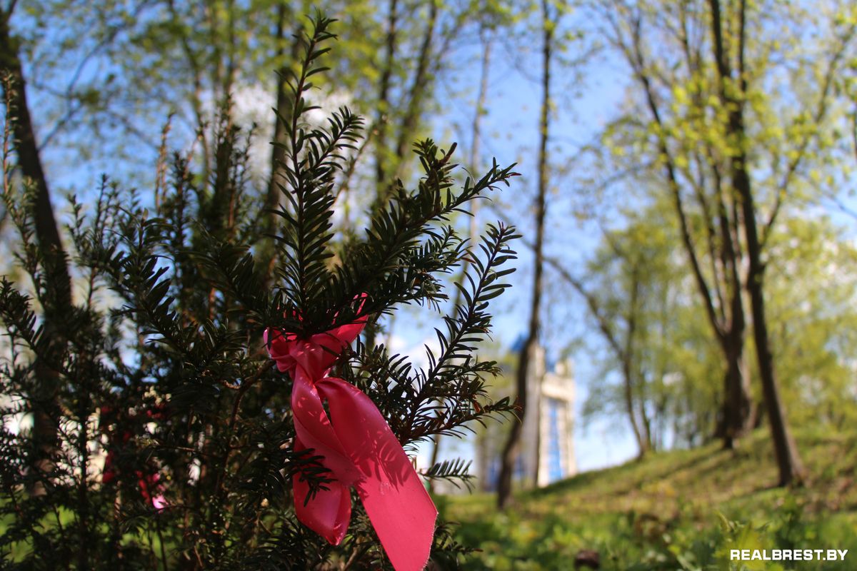 Посадить дерево — самый неэгоистичный из поступков