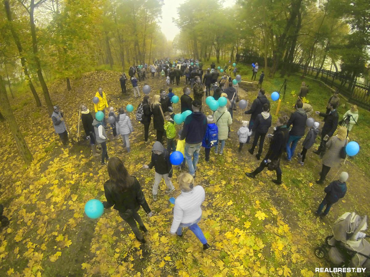 Посадить дерево — самый неэгоистичный из поступков