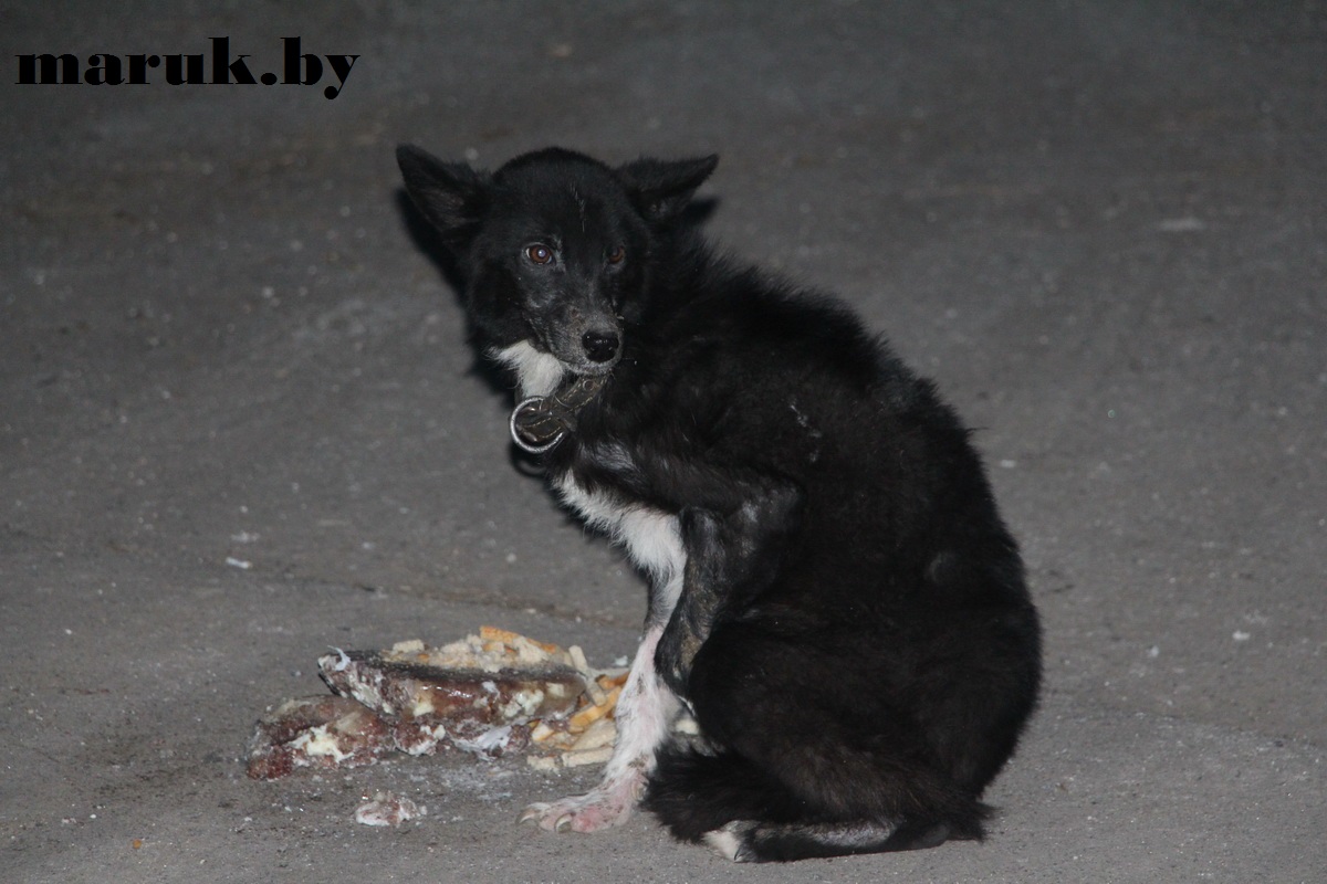 Что ты знаешь о настоящем холоде?