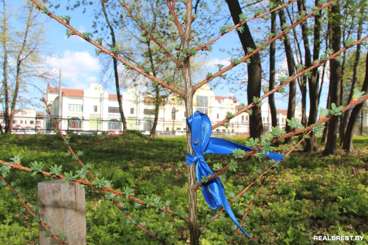 Посадить дерево — самый неэгоистичный из поступков