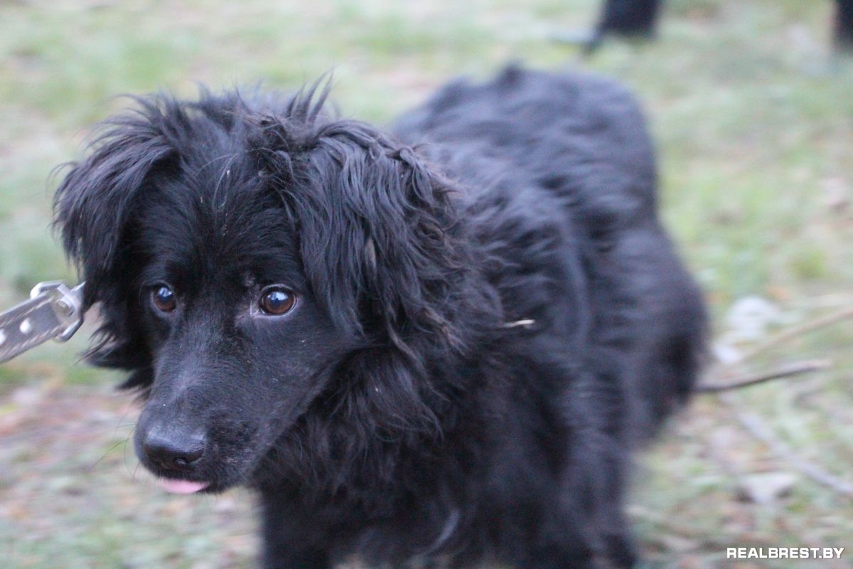 Мы в ответе за тех, кого спасли