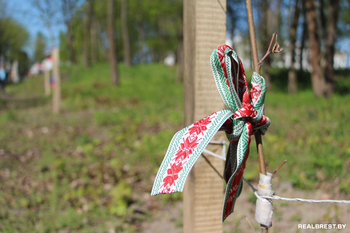 Посадить дерево — самый неэгоистичный из поступков