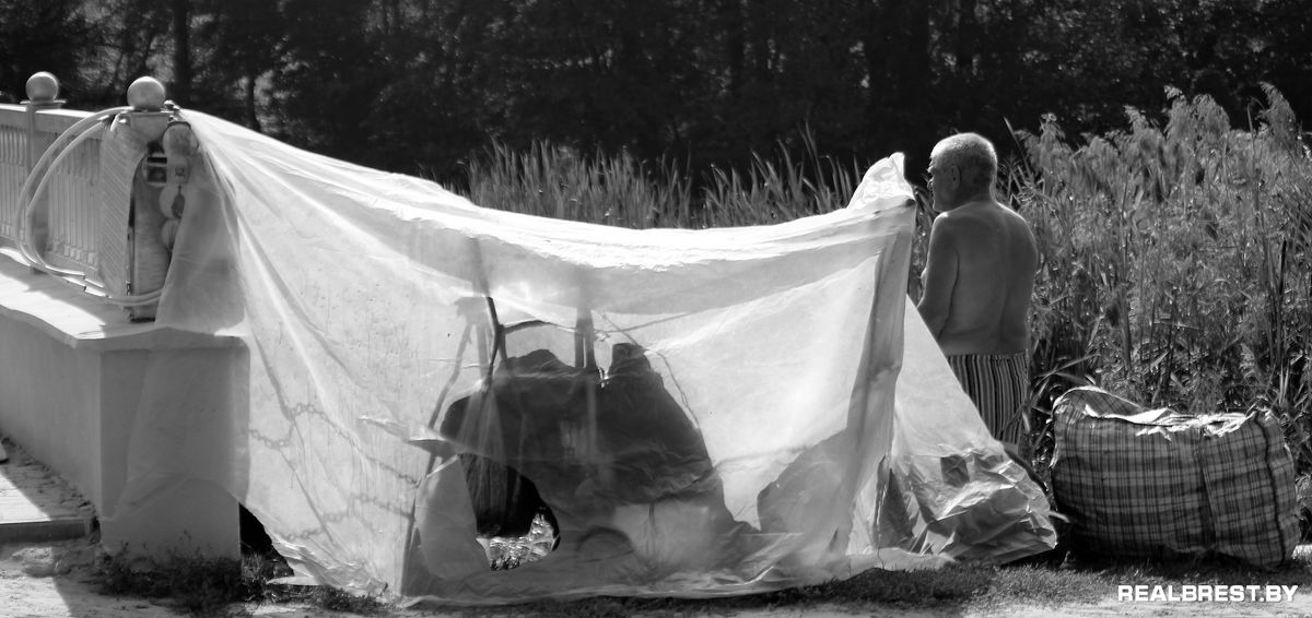 Иногда не знаешь: кто из нас сумасшедший?