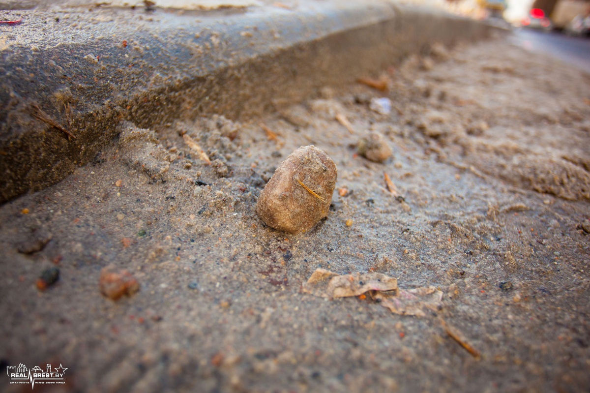 Кто и для чего превращает Брест в «болото»?