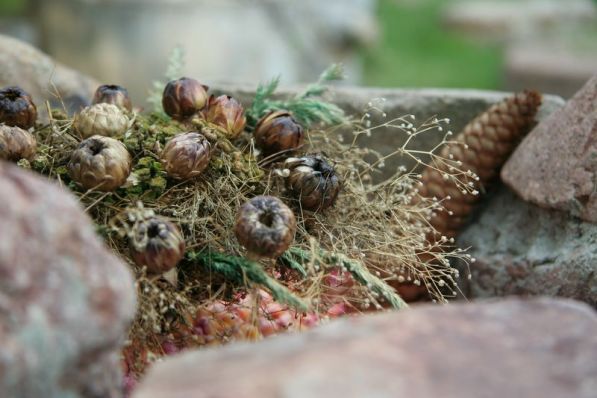 Зачем современному жителю Бреста домик на хуторе?