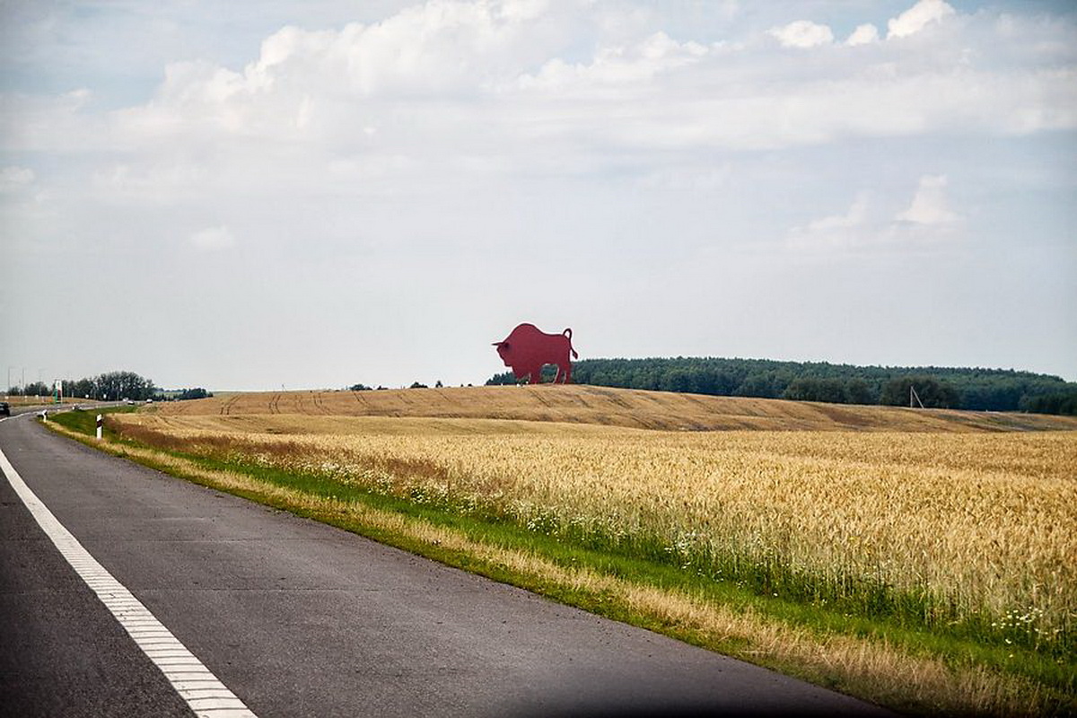 Он искал позитив