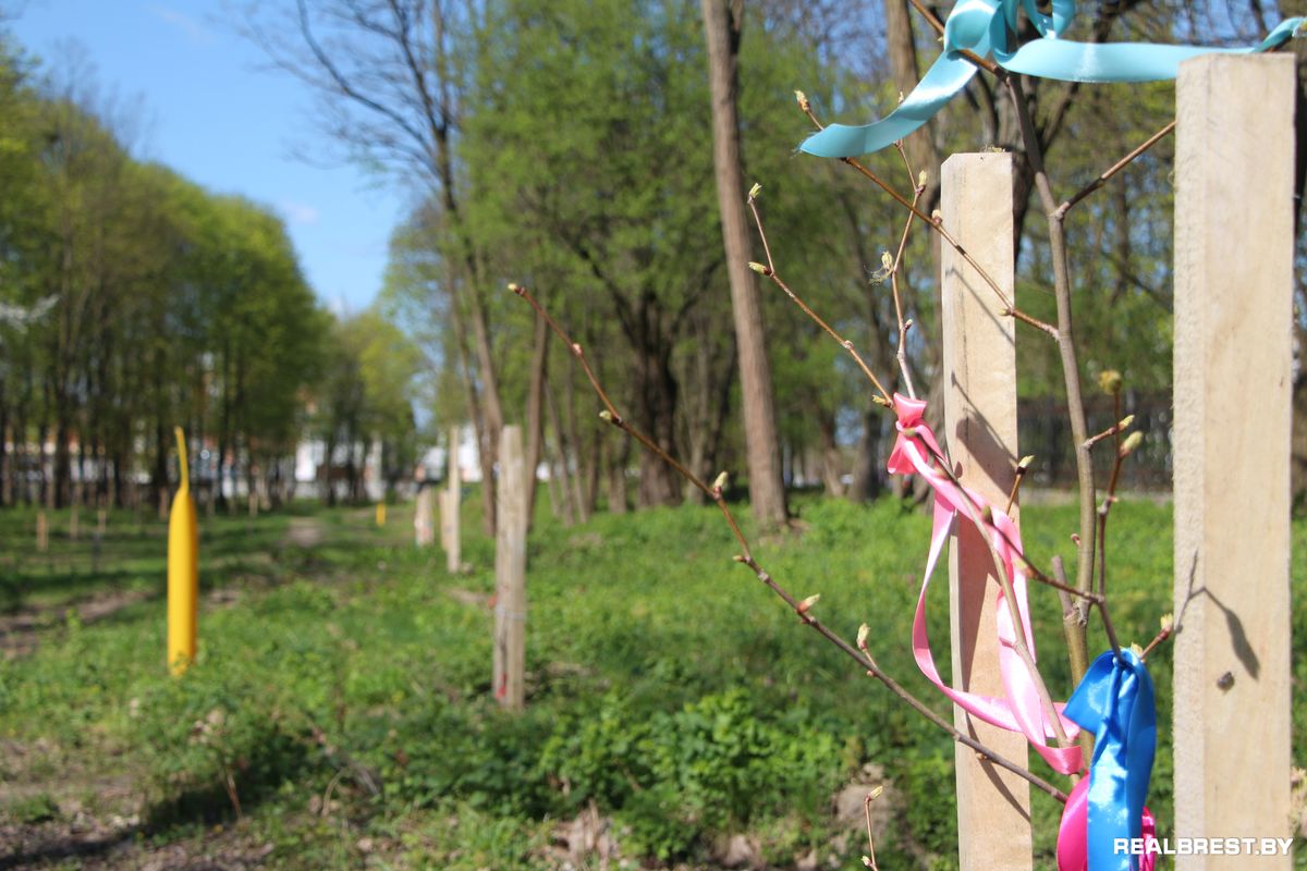 Посадить дерево — самый неэгоистичный из поступков