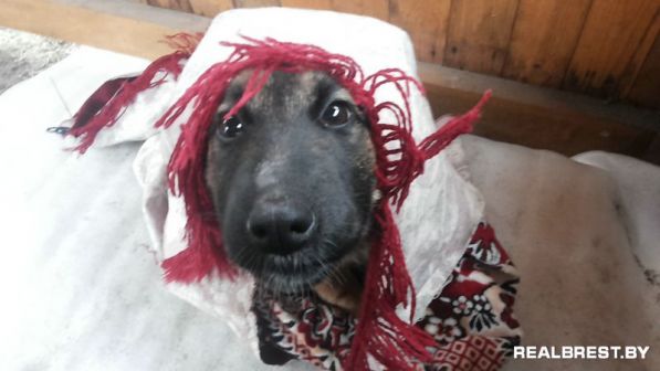 Застрелить и задушить