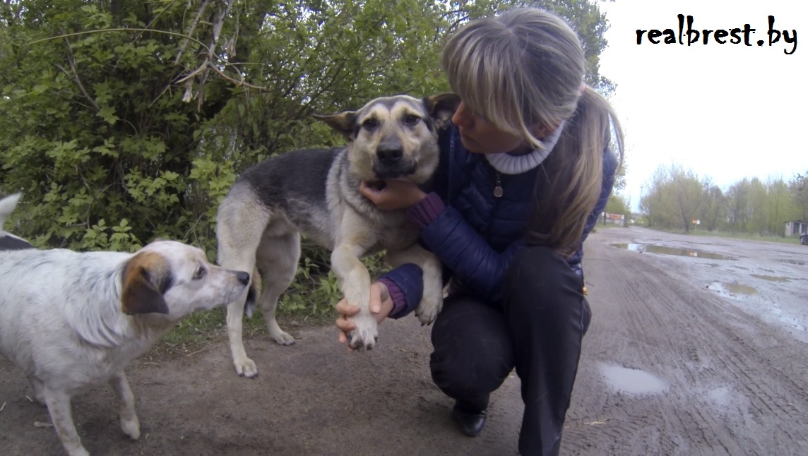 Пройти мимо нельзя помочь