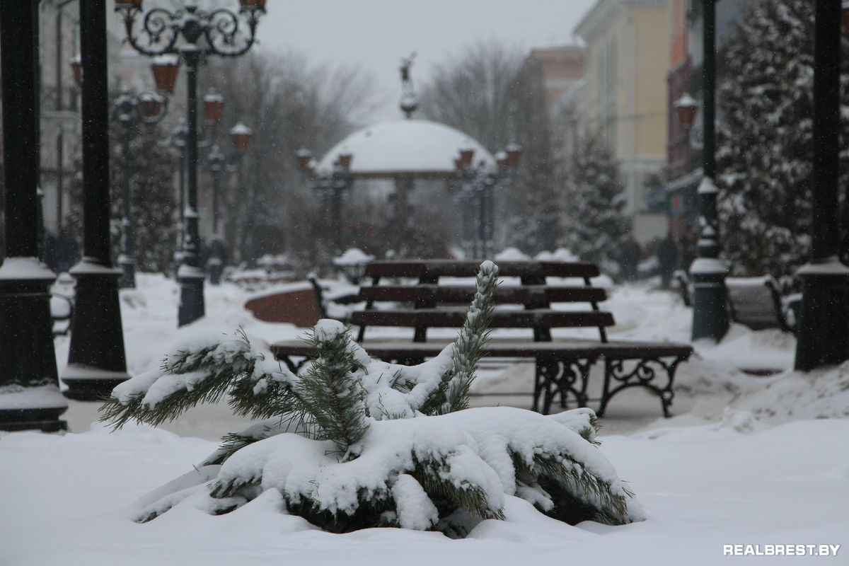 Если мы к снегу не готовы, то нас можно брать голыми руками