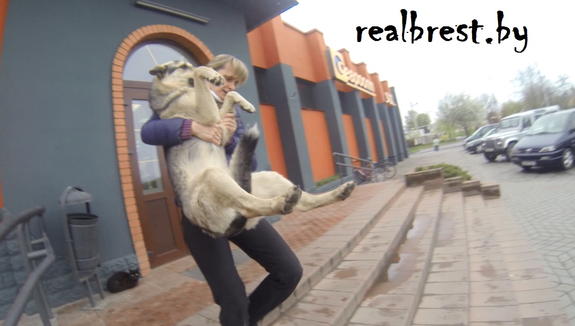 Пройти мимо нельзя помочь