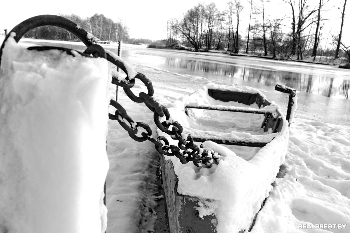 Большая драма одной маленькой брестской утки