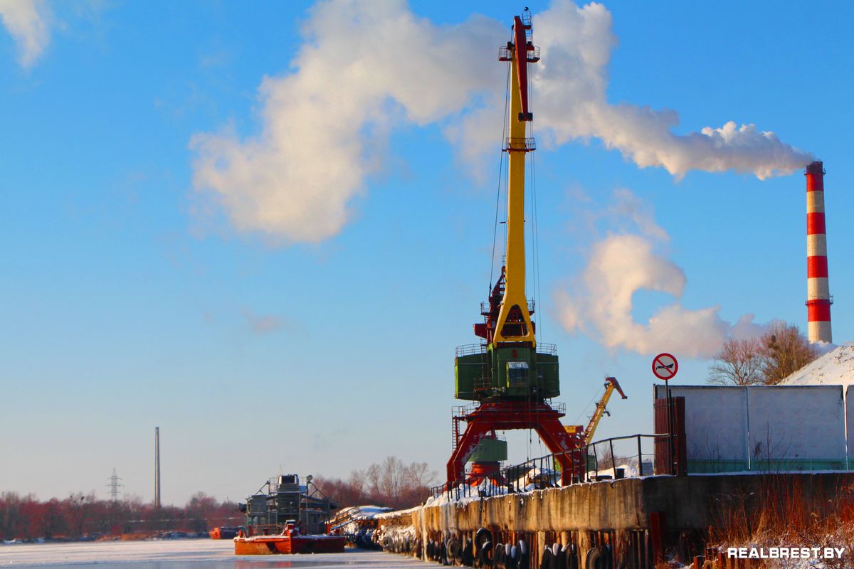 Большая драма одной маленькой брестской утки