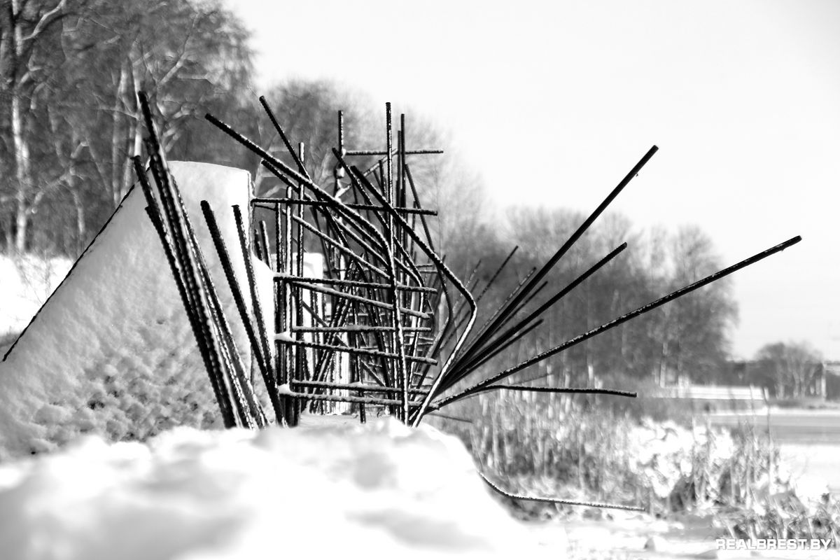 Большая драма одной маленькой брестской утки