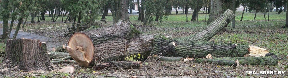 Рубят Набережную мужики, фонари летят