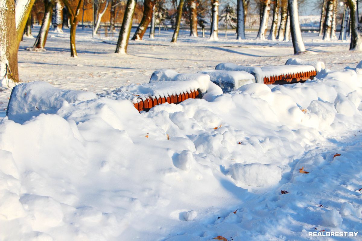 Большая драма одной маленькой брестской утки