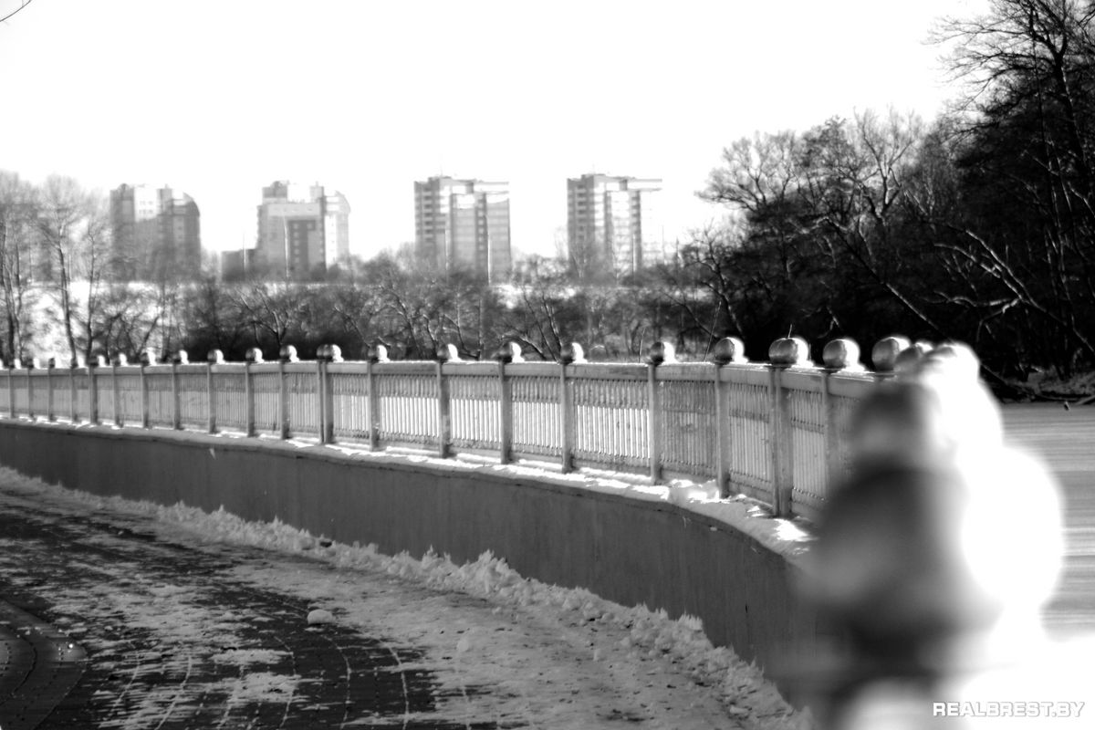 Большая драма одной маленькой брестской утки