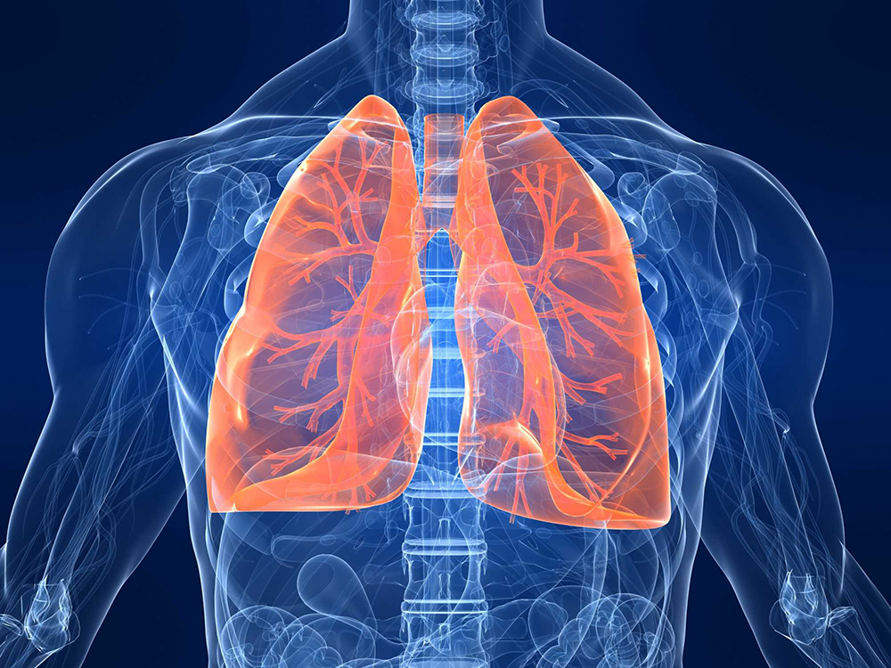 Современные методы лечения заболеваний дыхательной системы