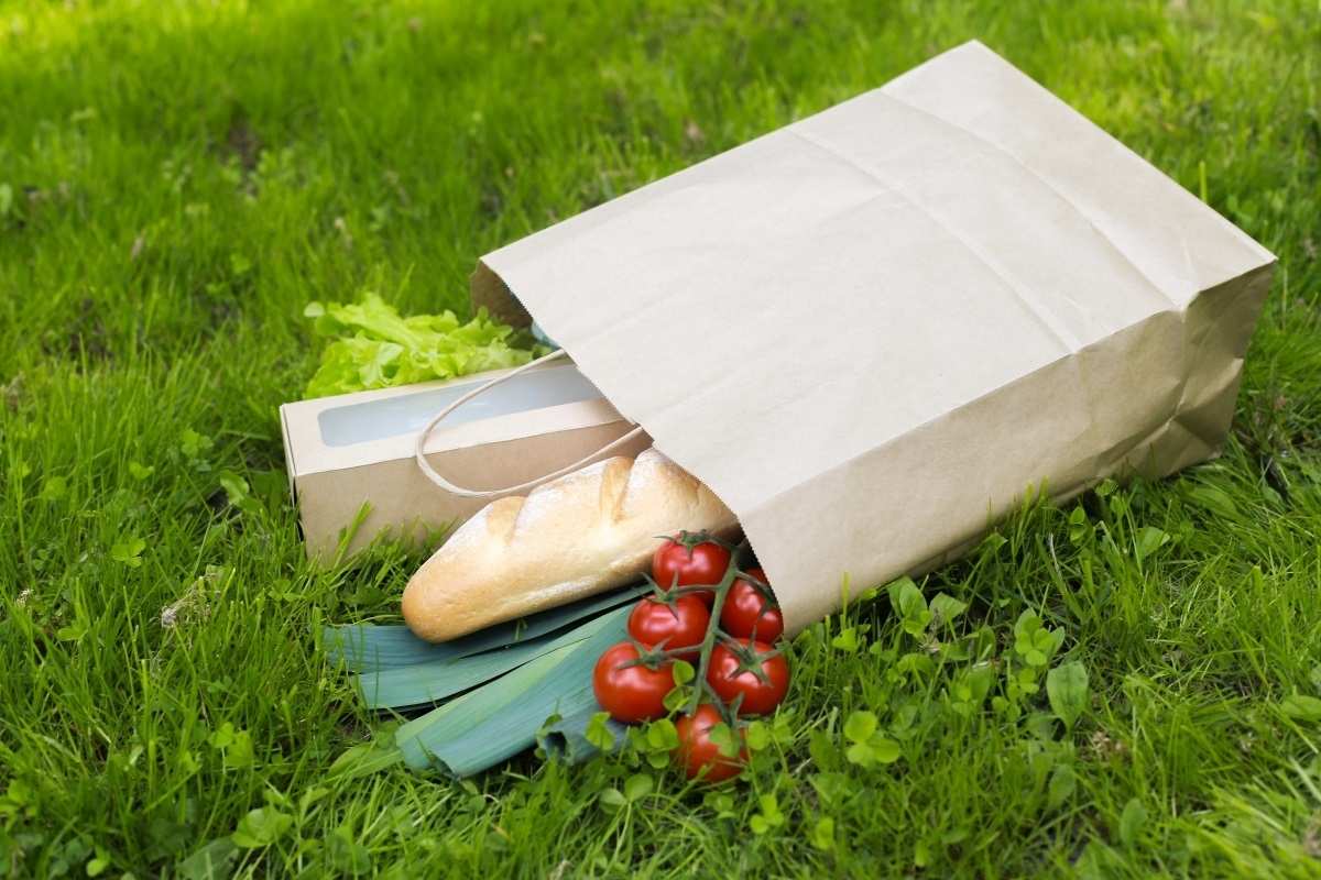 Бумажный пакет с едой